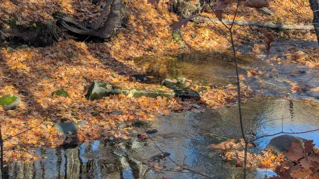 $310,000 | 18 Crawford Road, Pittsfield, ME 04967