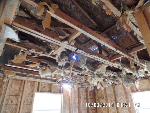 52435 Filbert Road Granger, IN 46530 - Photo 10 of 20 Gallery Image 10