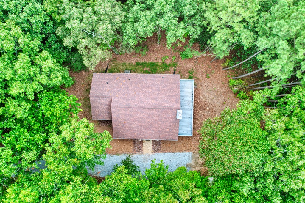 1179 Harris Branch Road Ellijay, GA 30540 - Photo 5 of 42 Gallery Image 5