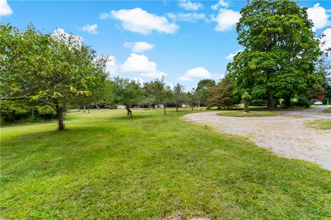808 Ten Rod Road Exeter, RI 02822 - Photo 40 of 45 Fruit Trees
