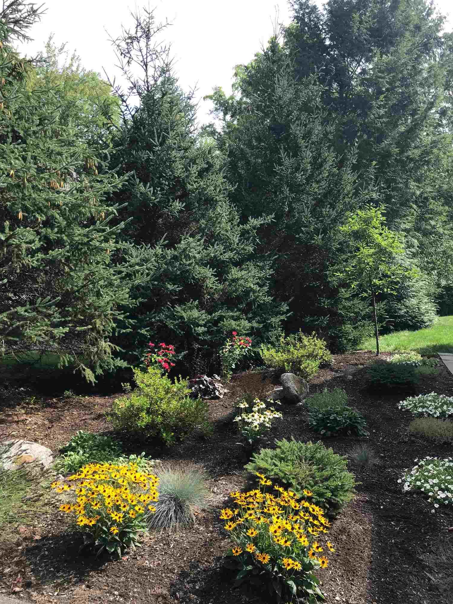 44 Captain's Way Exeter, NH 03833 - Photo 6 of 40