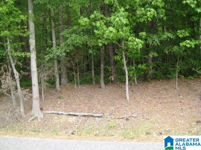 0 Sulphur Springs Road, Unit 10 ACRES Lincoln, AL 35096 - Photo 17 of 32