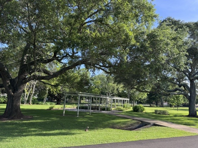 30934 Riverlake Road Fulshear, TX 77441 - Photo 18 of 21 a view of a golf course with a trees