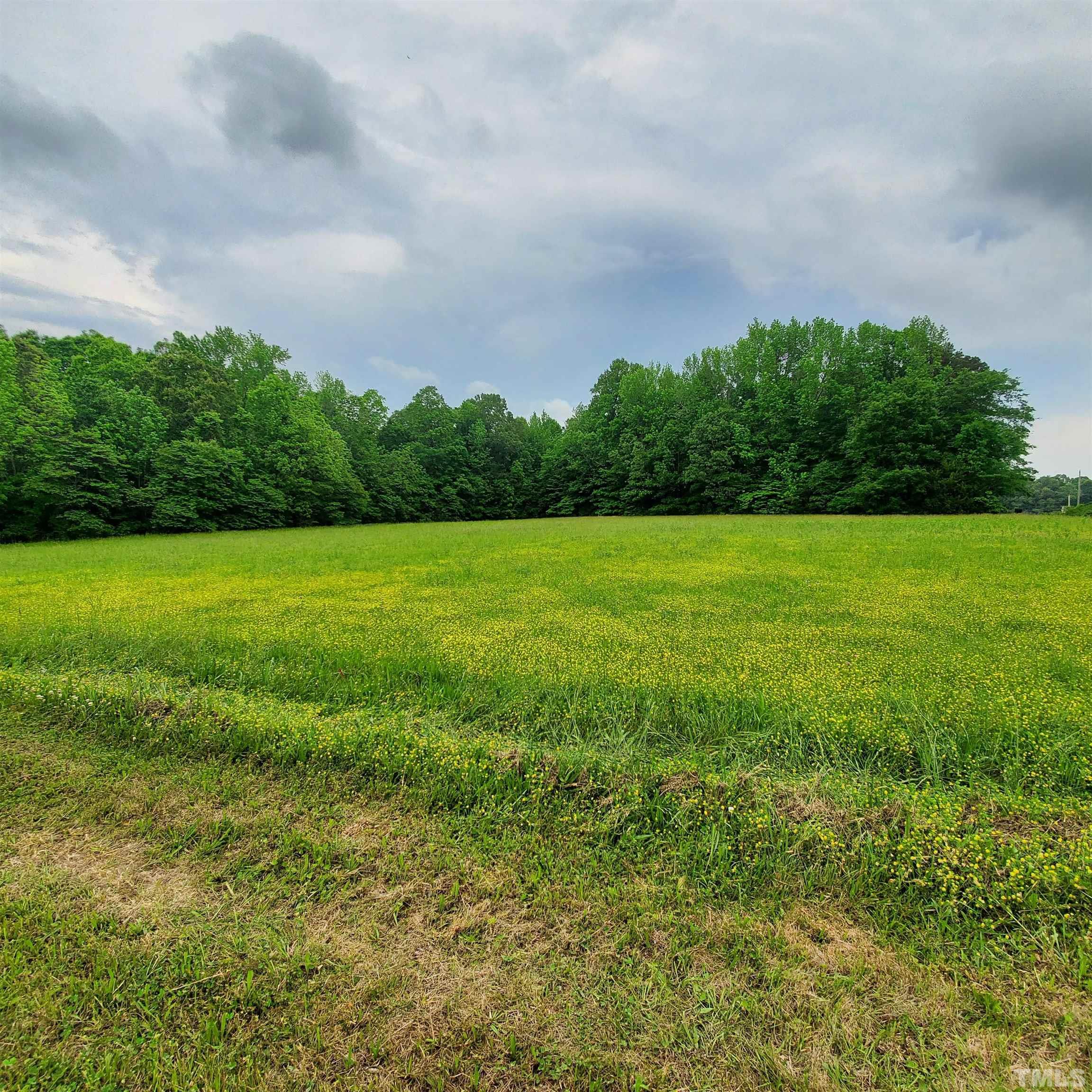 1616 Whitaker Road Mebane, NC 27302 - Photo 14 of 73 Gallery Image 14