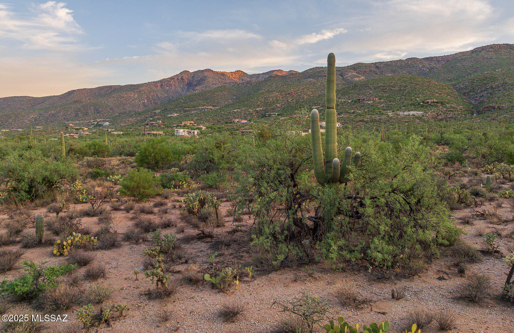 12550 East Horsehead Road Tucson, AZ 85749 - Photo 19 of 29