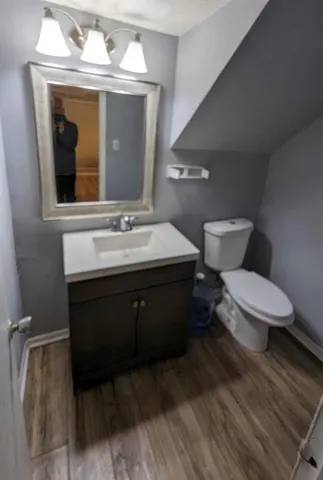 a bathroom with a sink vanity and toilet