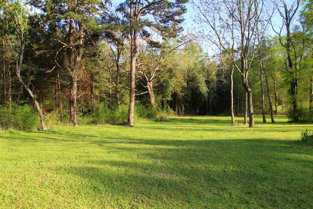 133 Cheyenne Ridge Trail Campobello, SC 29322 - Photo 6 of 34
