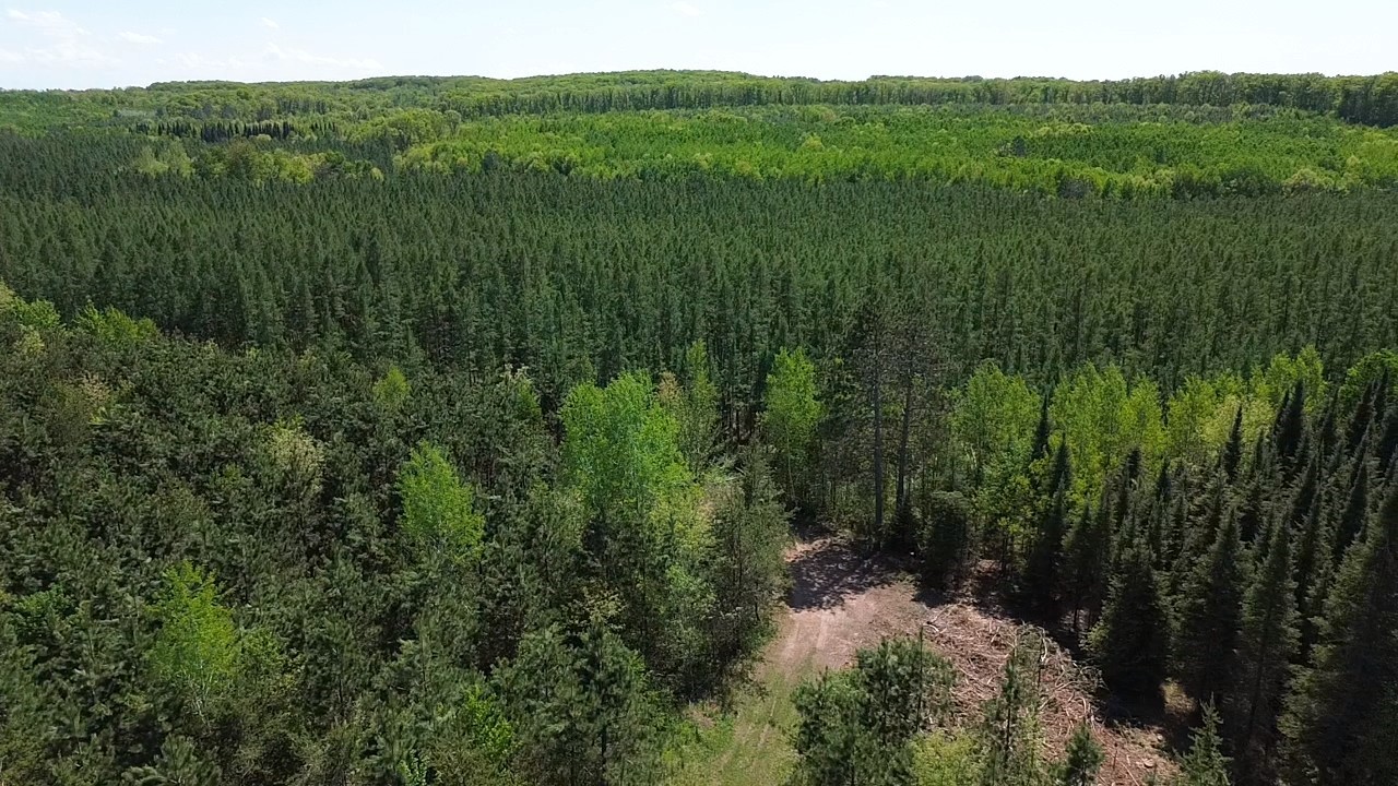 349 X 5th Avenue Shell Lake, WI 54871 - Photo 34 of 37