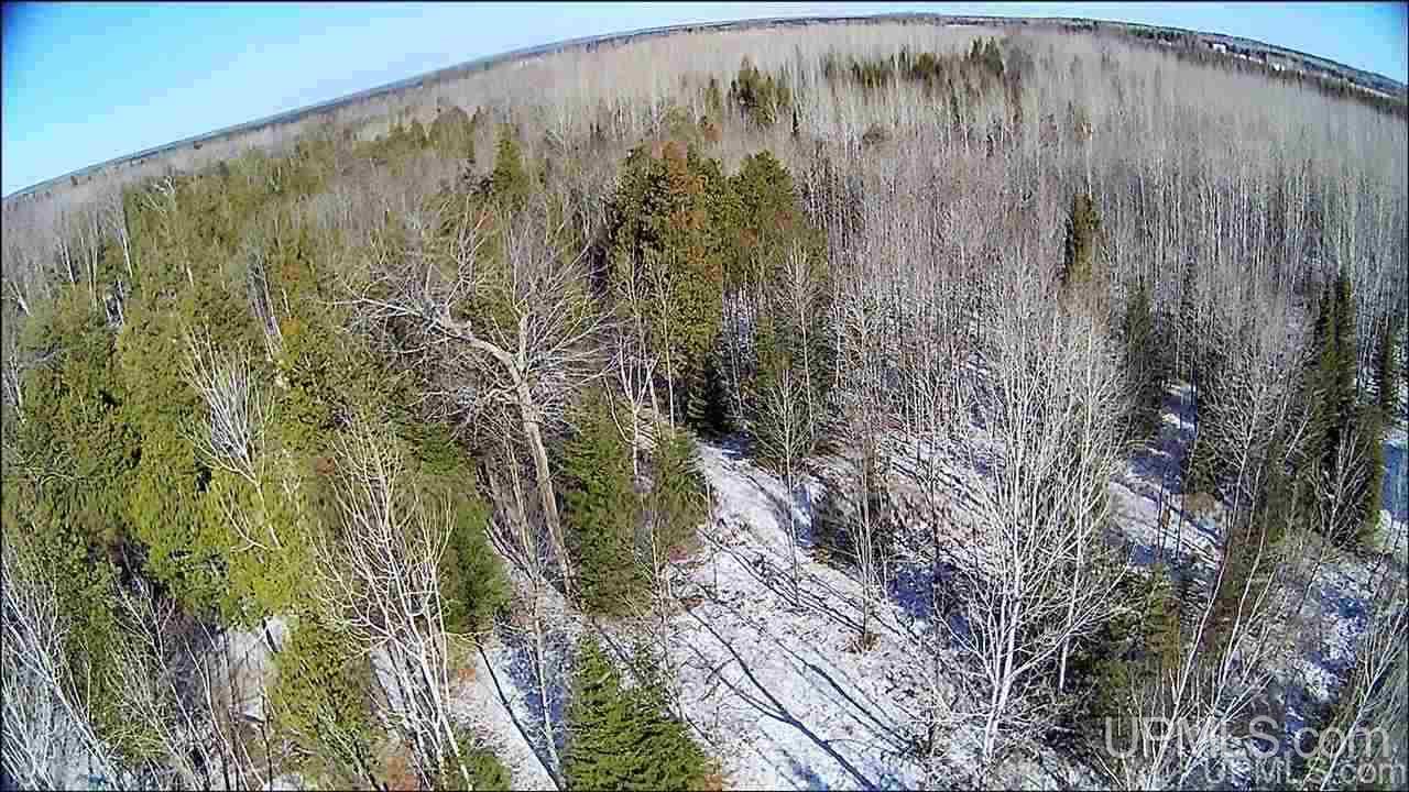 8972 Co Road Rapid River, MI 49878 - Photo 14 of 46