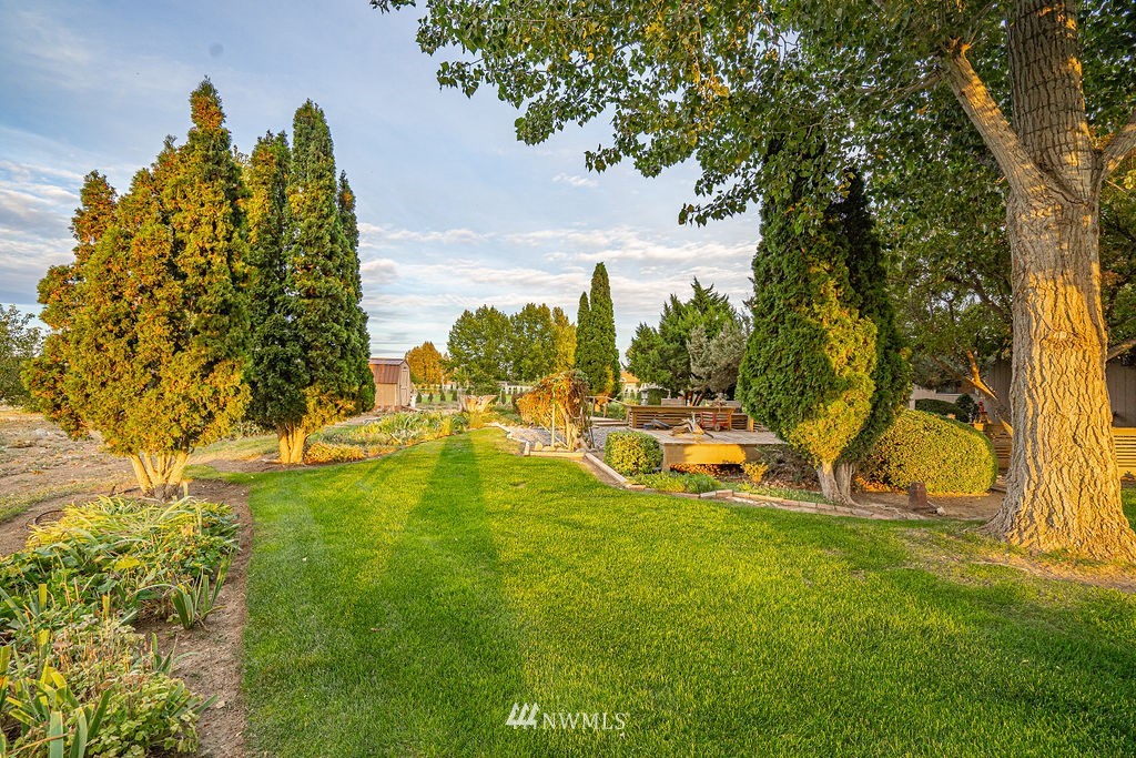 7882 Grove Road Northeast Moses Lake, WA 98837 - Photo 4 of 38 Gallery Image 4
