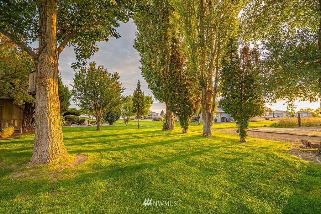 7882 Grove Road Northeast Moses Lake, WA 98837 - Photo 35 of 38 Gallery Image 35