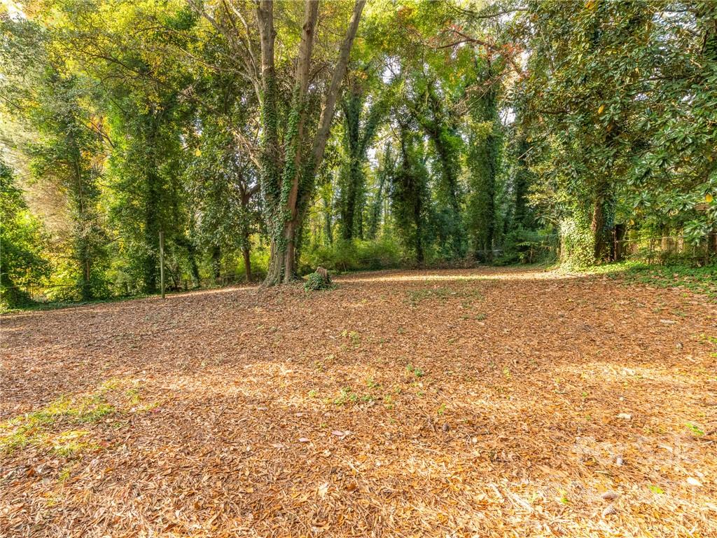 4151 Tillman Road Charlotte, NC 28208 - Photo 30 of 33 Gallery Image 30