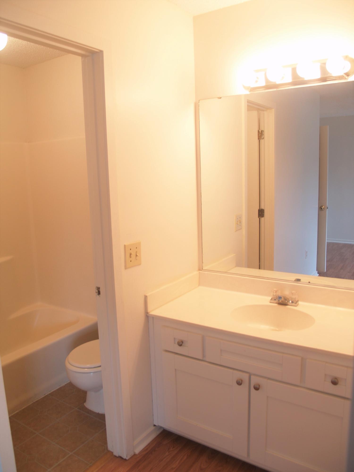 119 Two Hitch Road Goose Creek, SC 29445 - Photo 18 of 31 119 Two Hitch Master Bath