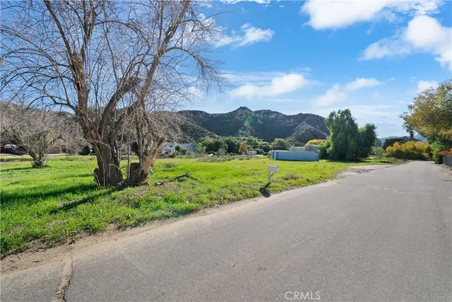 a view of a park with large trees