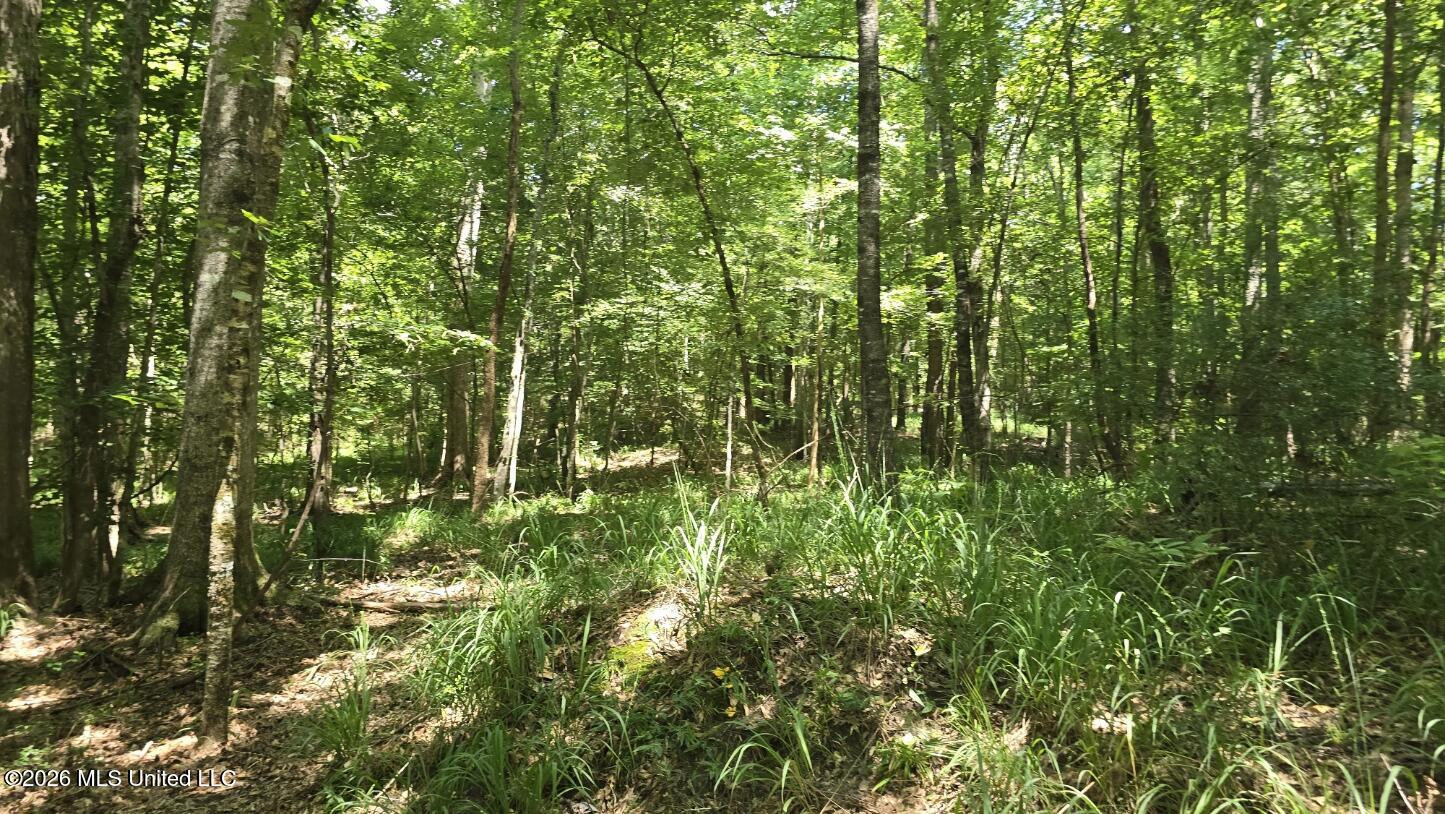 3995 Choctaw Road Brookhaven, MS 39601 - Photo 60 of 73 20260709_114856