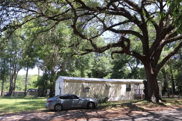a view of a house with a tree in the forest