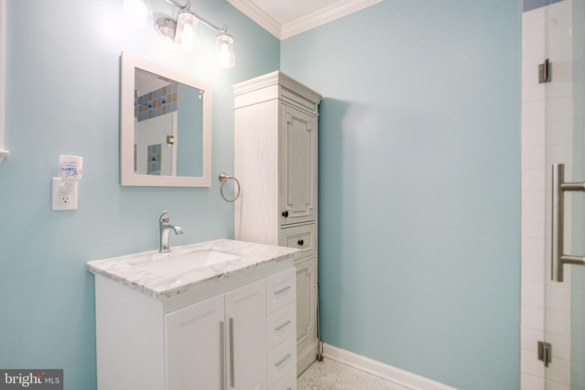 7815 Fairgreen Road Baltimore, MD 21222 - Photo 17 of 54 Primary Bathroom