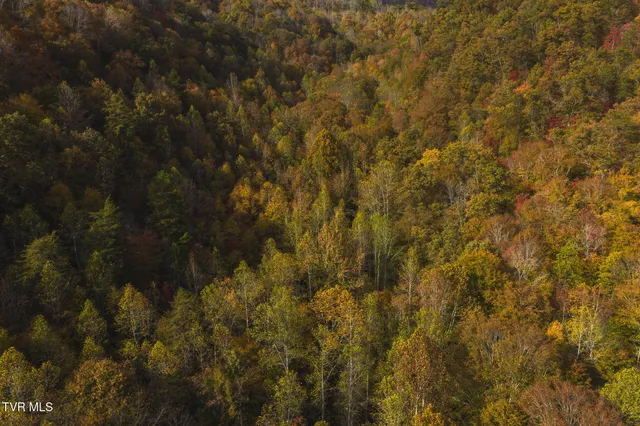 $50,000 | 0 Livesay Chapel Road, Kyles Ford, TN 37765