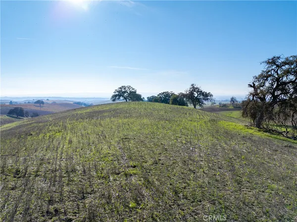 a view of a field with an trees in the background