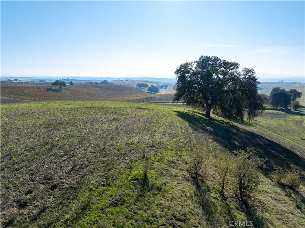 a view of a field with an ocean