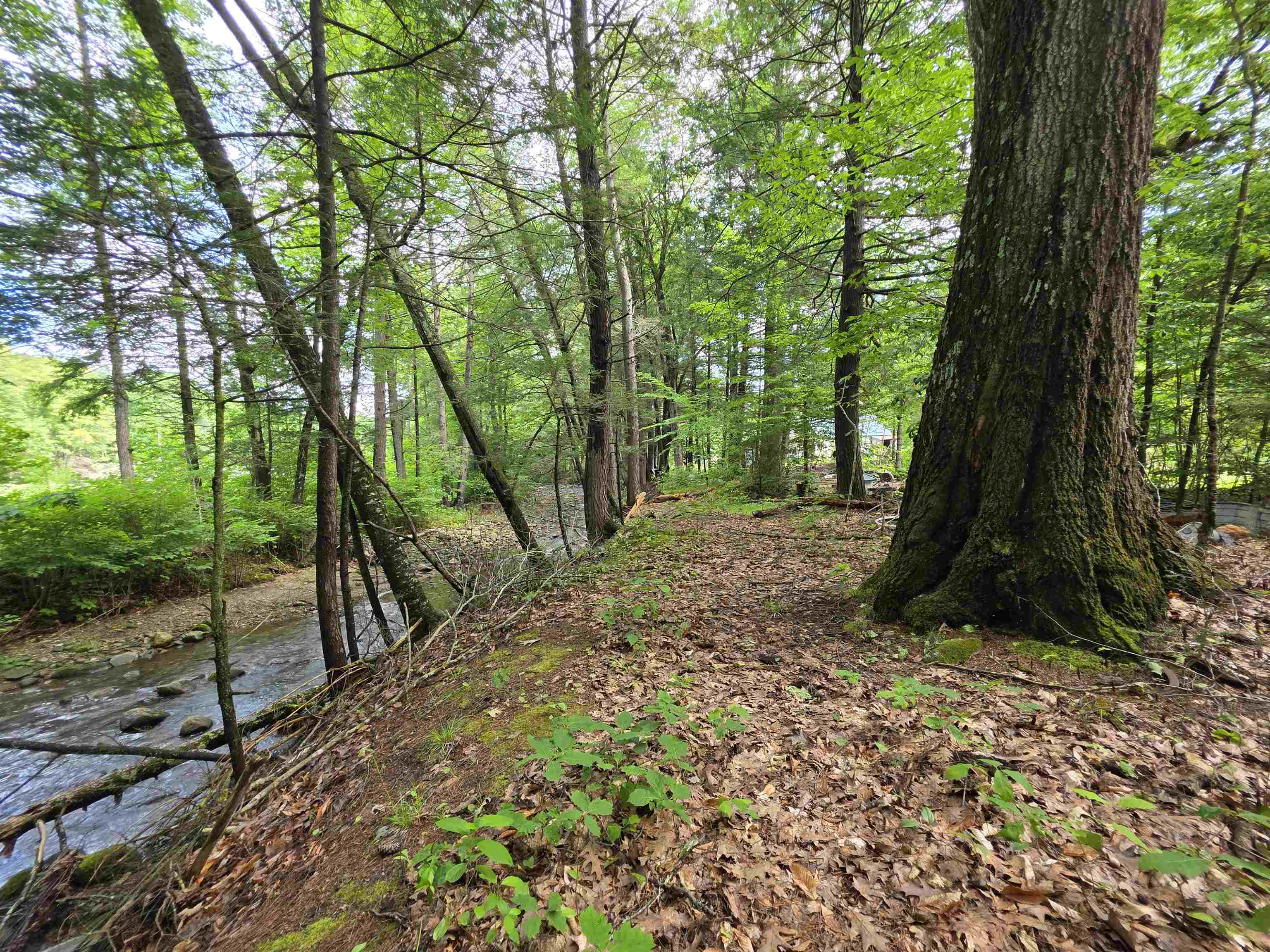 373 Highway 30 Newfane, VT 05345 - Photo 43 of 49