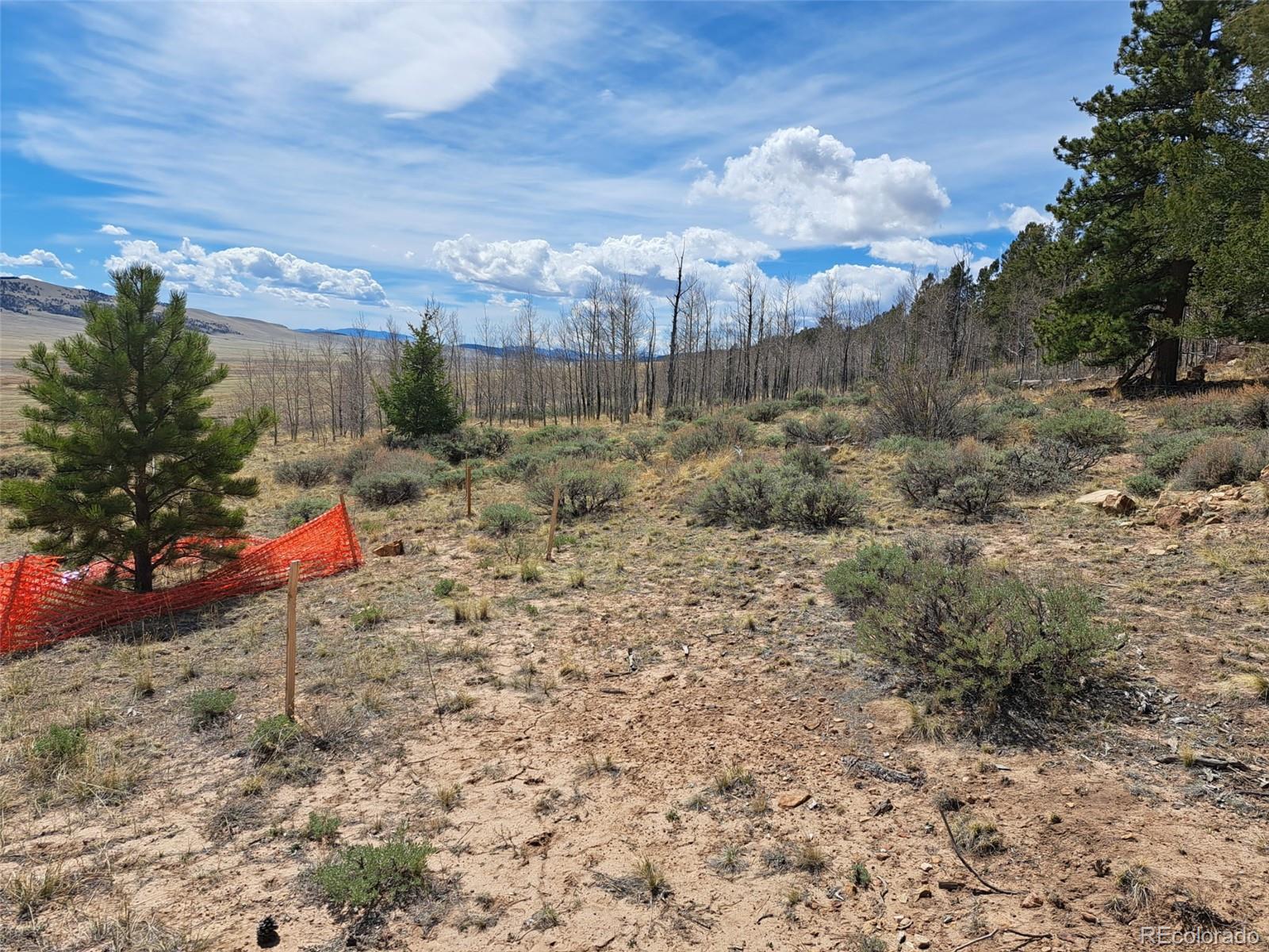 3088 Redhill Road Fairplay, CO 80440 - Photo 14 of 24 Gallery Image 14