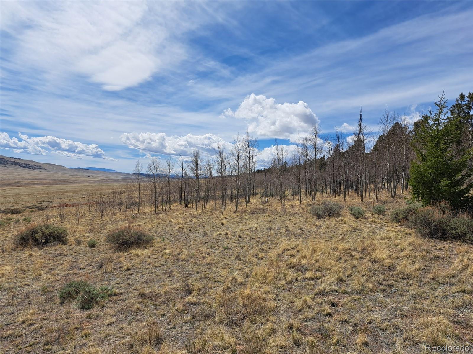 3088 Redhill Road Fairplay, CO 80440 - Photo 22 of 24 Gallery Image 22
