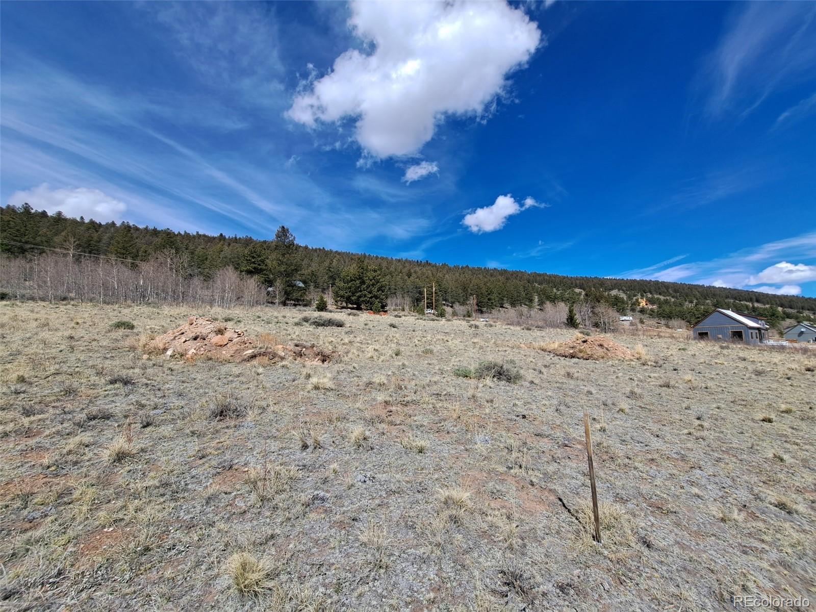 3088 Redhill Road Fairplay, CO 80440 - Photo 10 of 24 Gallery Image 10