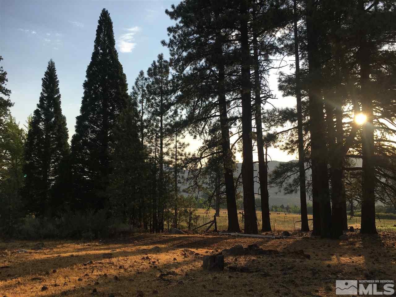 16155-16125 Callahan Road Reno, NV 89511 - Photo 3 of 5 Photo 3