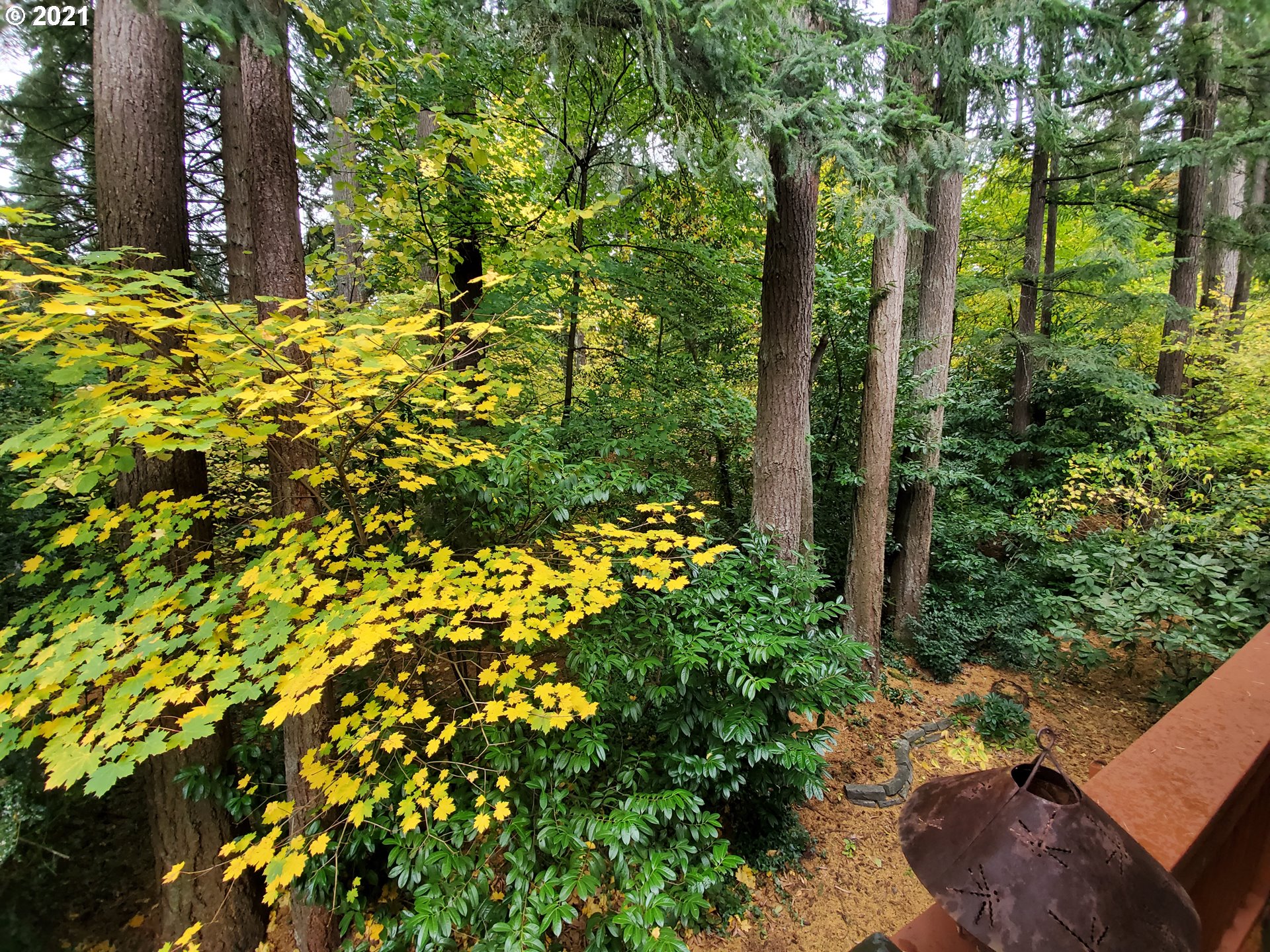 8422 Southwest Oleson Road Portland, OR 97223 - Photo 21 of 25 Gallery Image 21