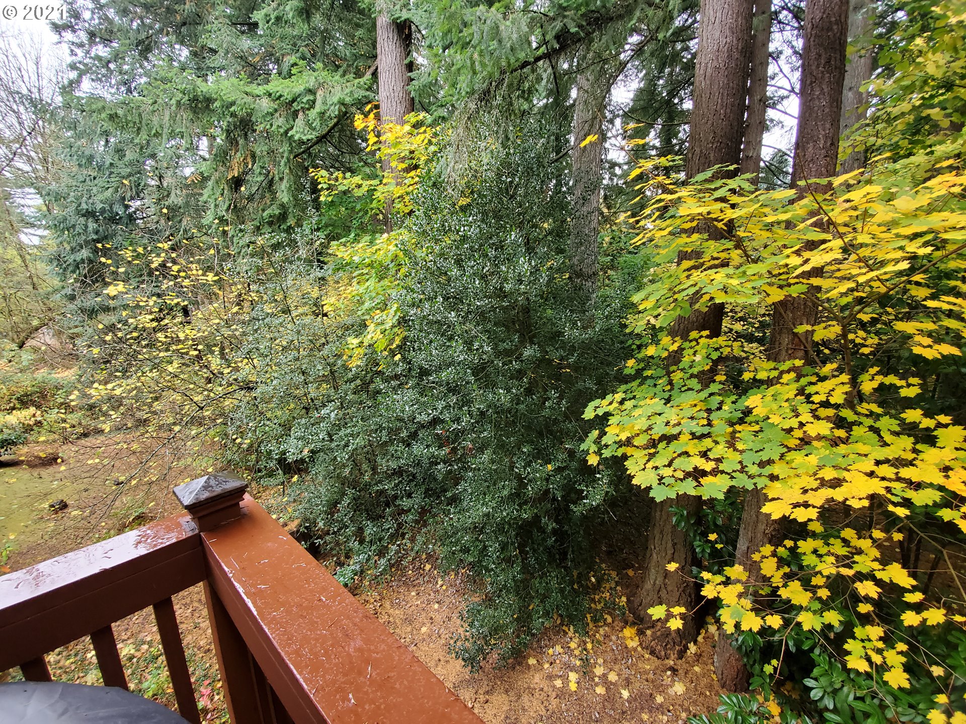 8422 Southwest Oleson Road Portland, OR 97223 - Photo 22 of 25 Gallery Image 22
