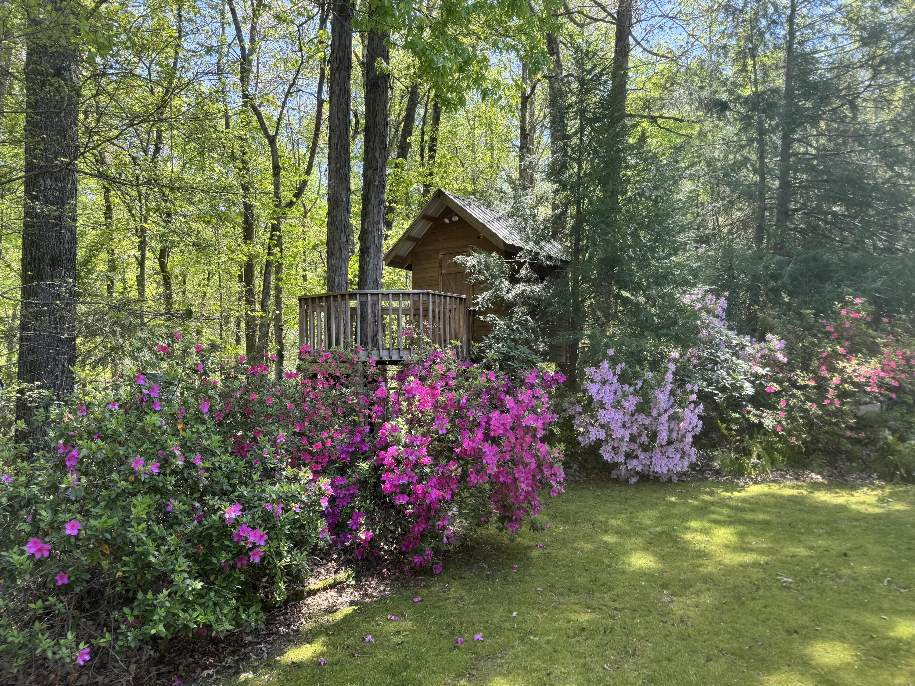 272 Sleepy Hollow Road LaFayette, GA 30728 - Photo 6 of 68 IMG_1005