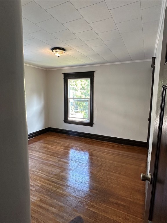 81 Locust Street Rochester, NY 14613 - Photo 11 of 16