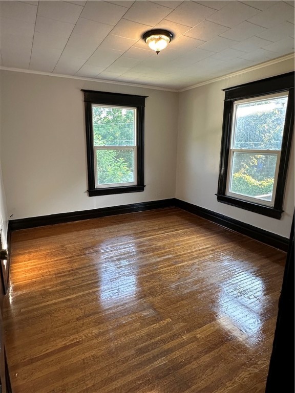 81 Locust Street Rochester, NY 14613 - Photo 12 of 16