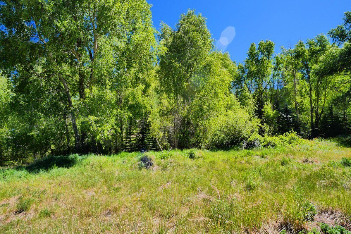 27 North Commercial Street Rico, CO 81332 - Photo 10 of 17 a view of backyard with green space