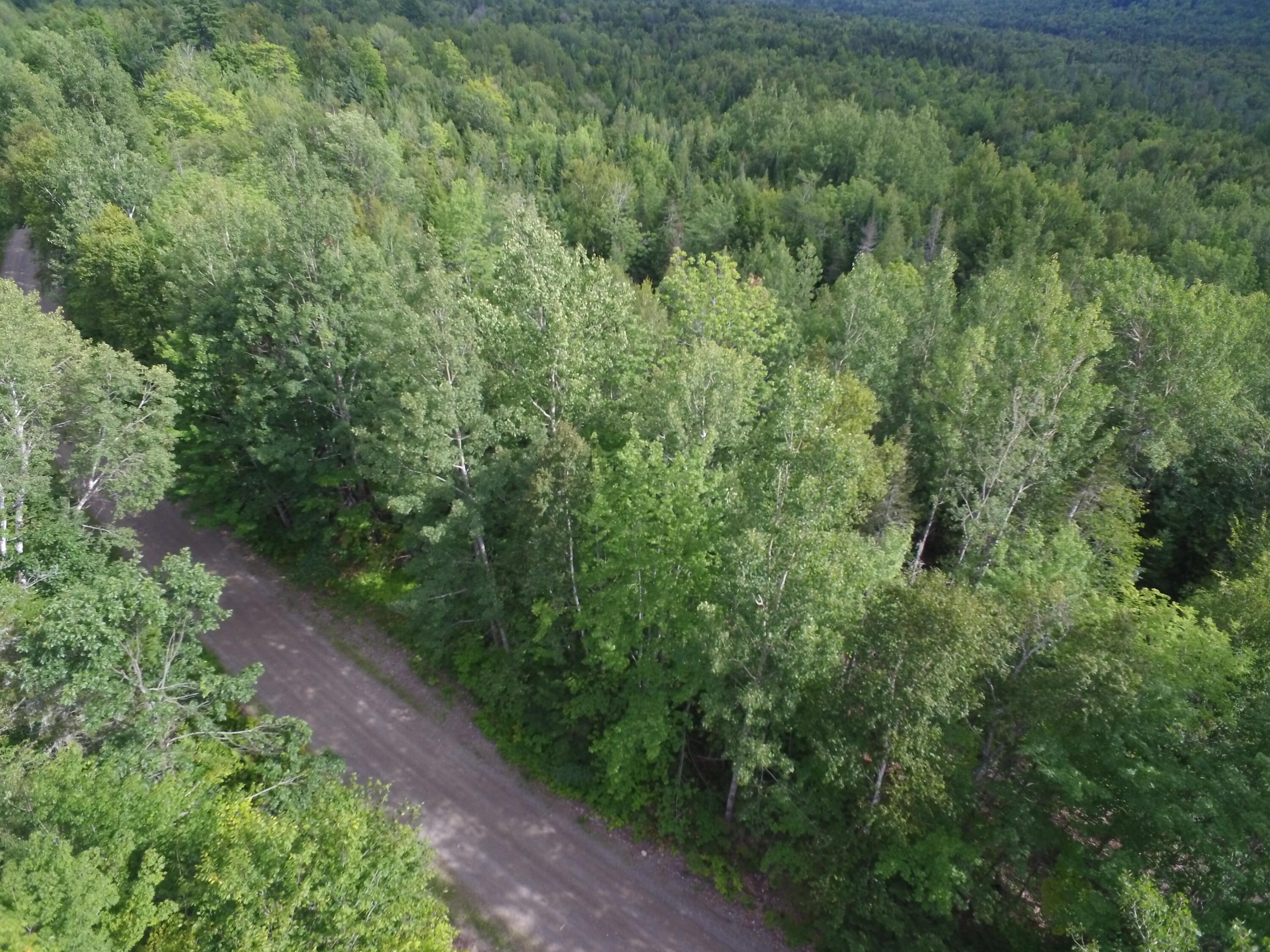 Off Dill Valley Road Lakeville, ME 04487 - Photo 8 of 11 DJI_0001