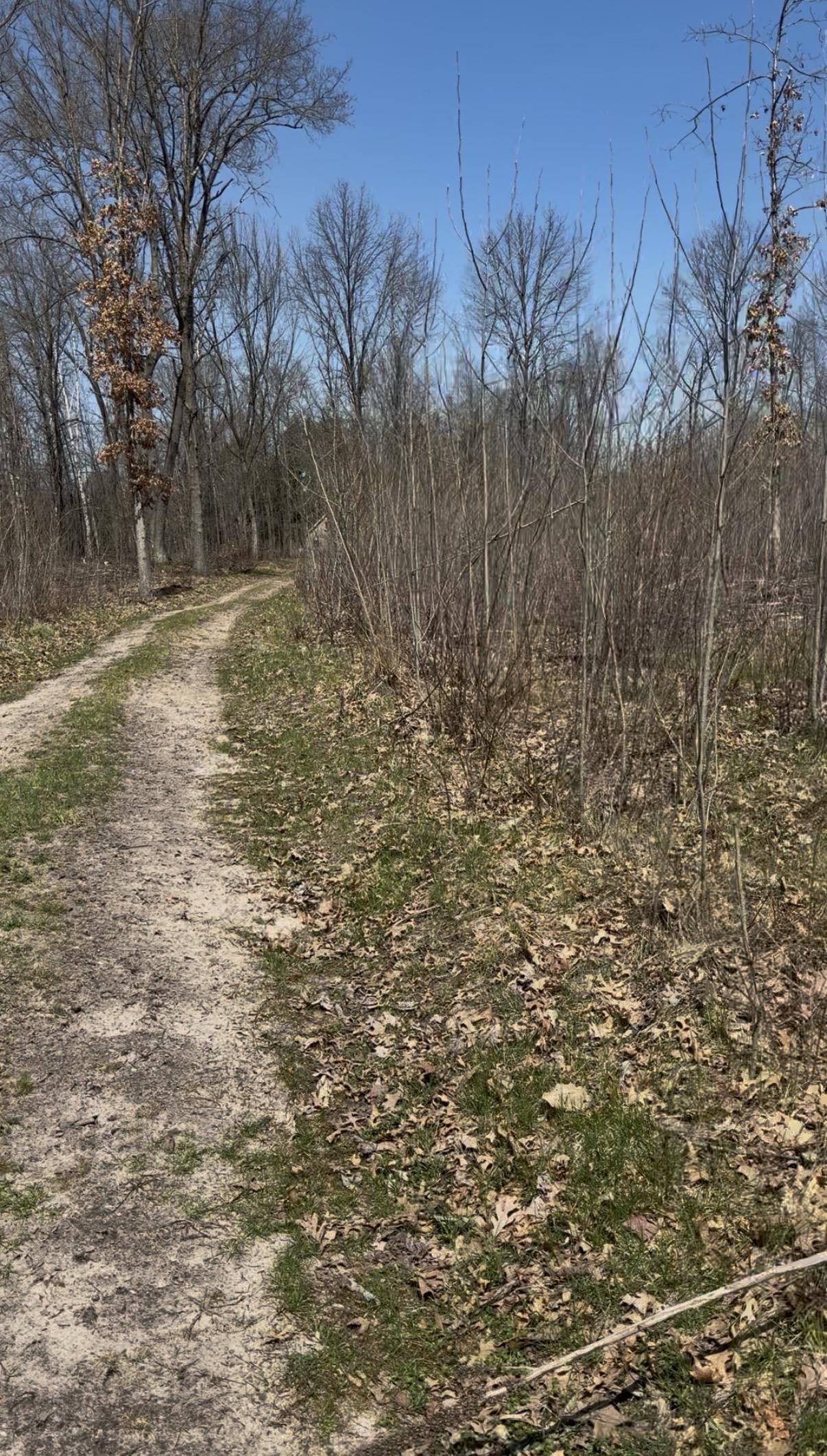 491 East Big Stone Lake Road Lake, MI 48632 - Photo 27 of 31