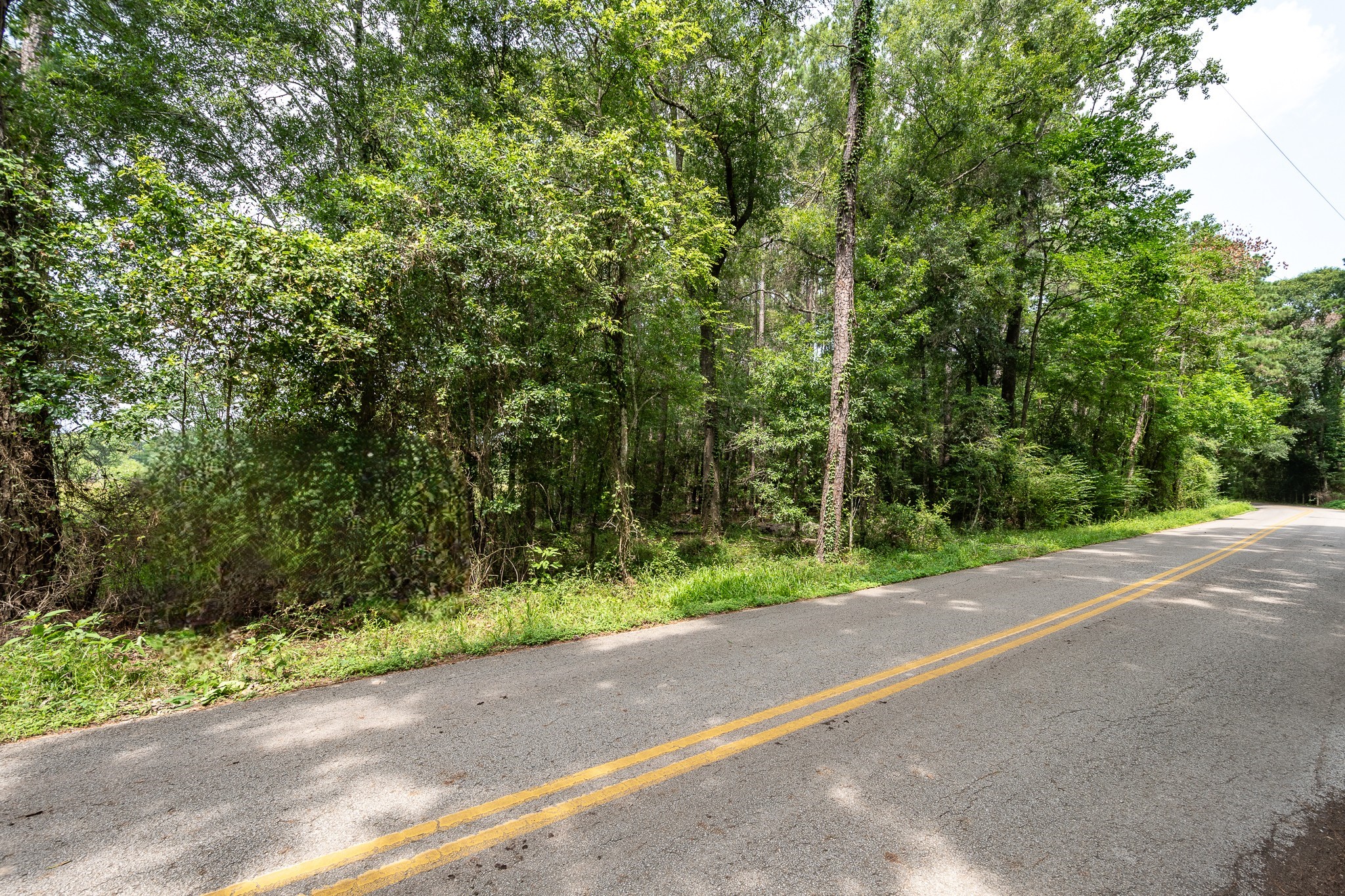 20765 Sullivan Road New Caney, TX 77357 - Photo 7 of 9