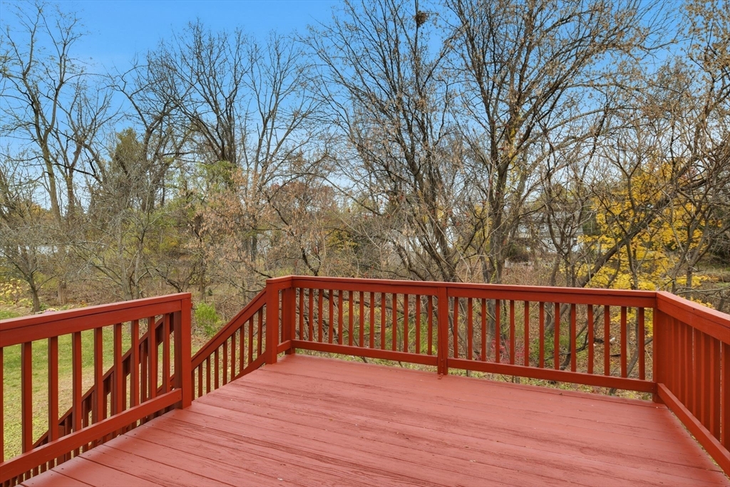 35 Lemnos Lane Springfield, MA 01119 - Photo 25 of 35