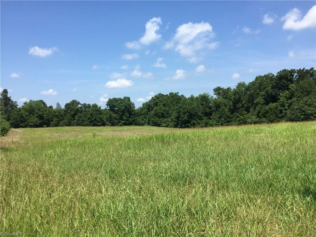 3345 Mack Lineberry Road Franklinville, NC 27248 - Photo 22 of 22 Field for the Nature Lover.