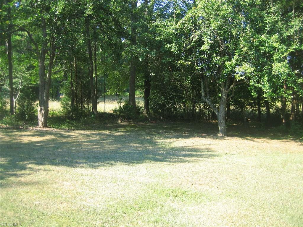 3345 Mack Lineberry Road Franklinville, NC 27248 - Photo 8 of 22 View of the side yard closest to the open field.