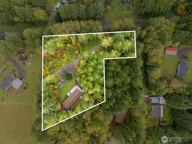 a view of a pathway both side of yard