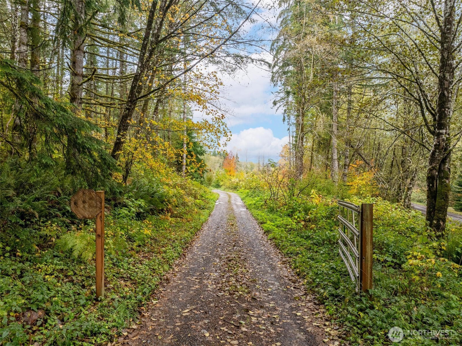 2 Crow Lane McCleary, WA 98557 - Photo 7 of 36 a view of a pathway both side of yard
