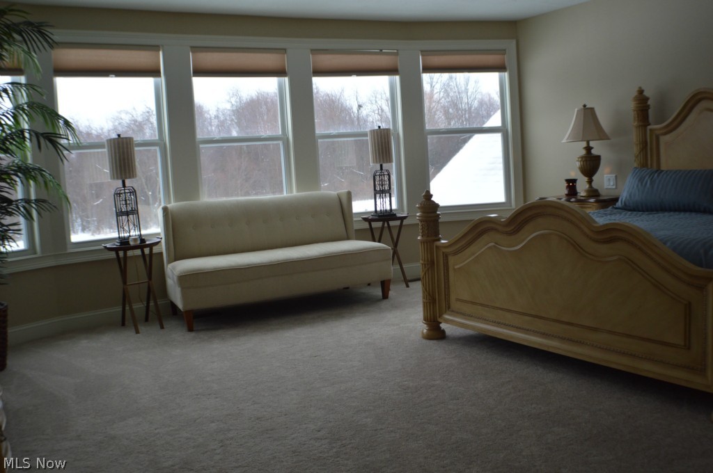5785 Spring Ridge Drive Medina, OH 44256 - Photo 18 of 25 Master Retreat. King size bed and large furniture and still plenty of space!