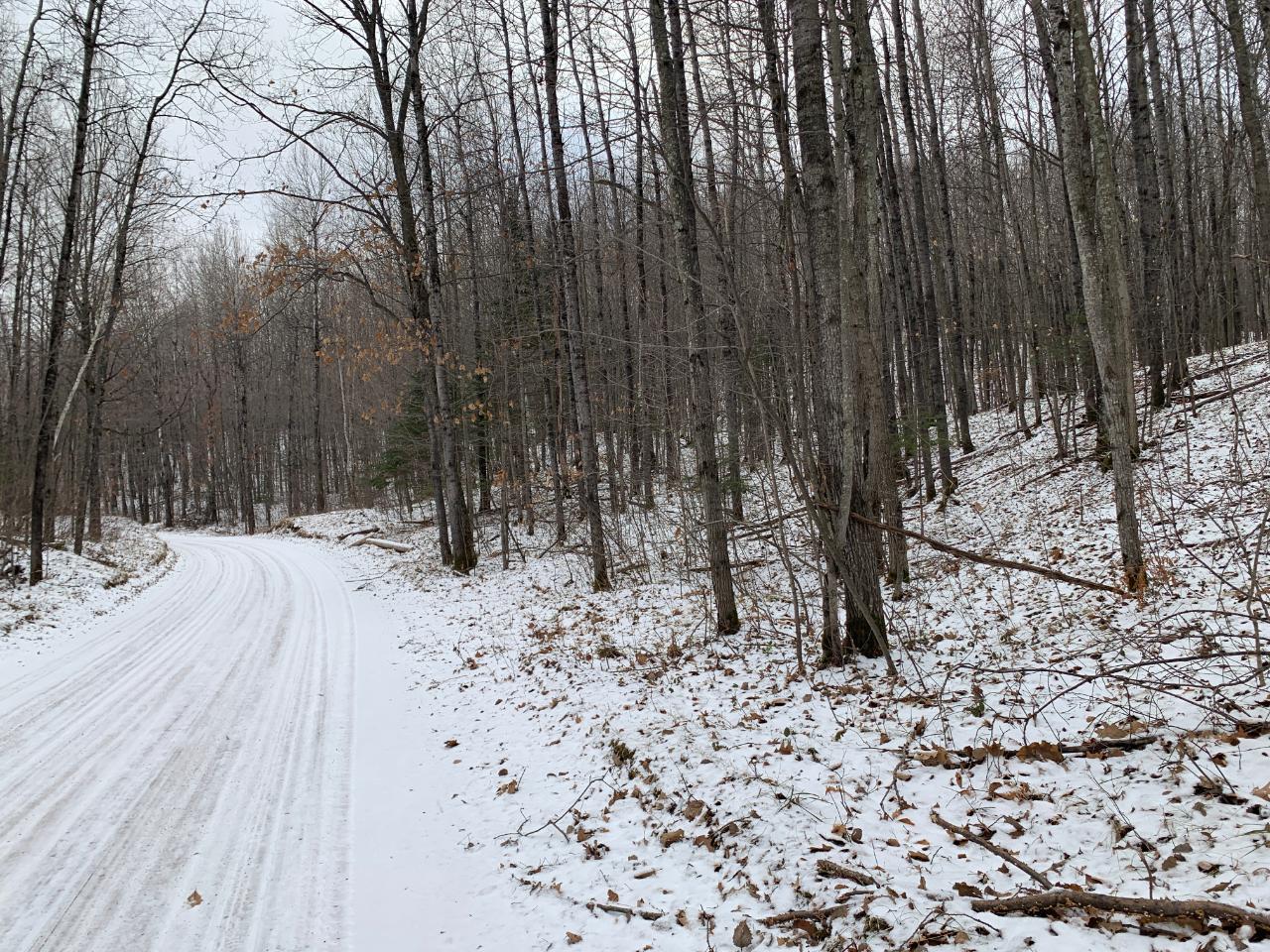 Off Sutton Road Minocqua, WI 54548 - Photo 4 of 19 Gallery Image 4
