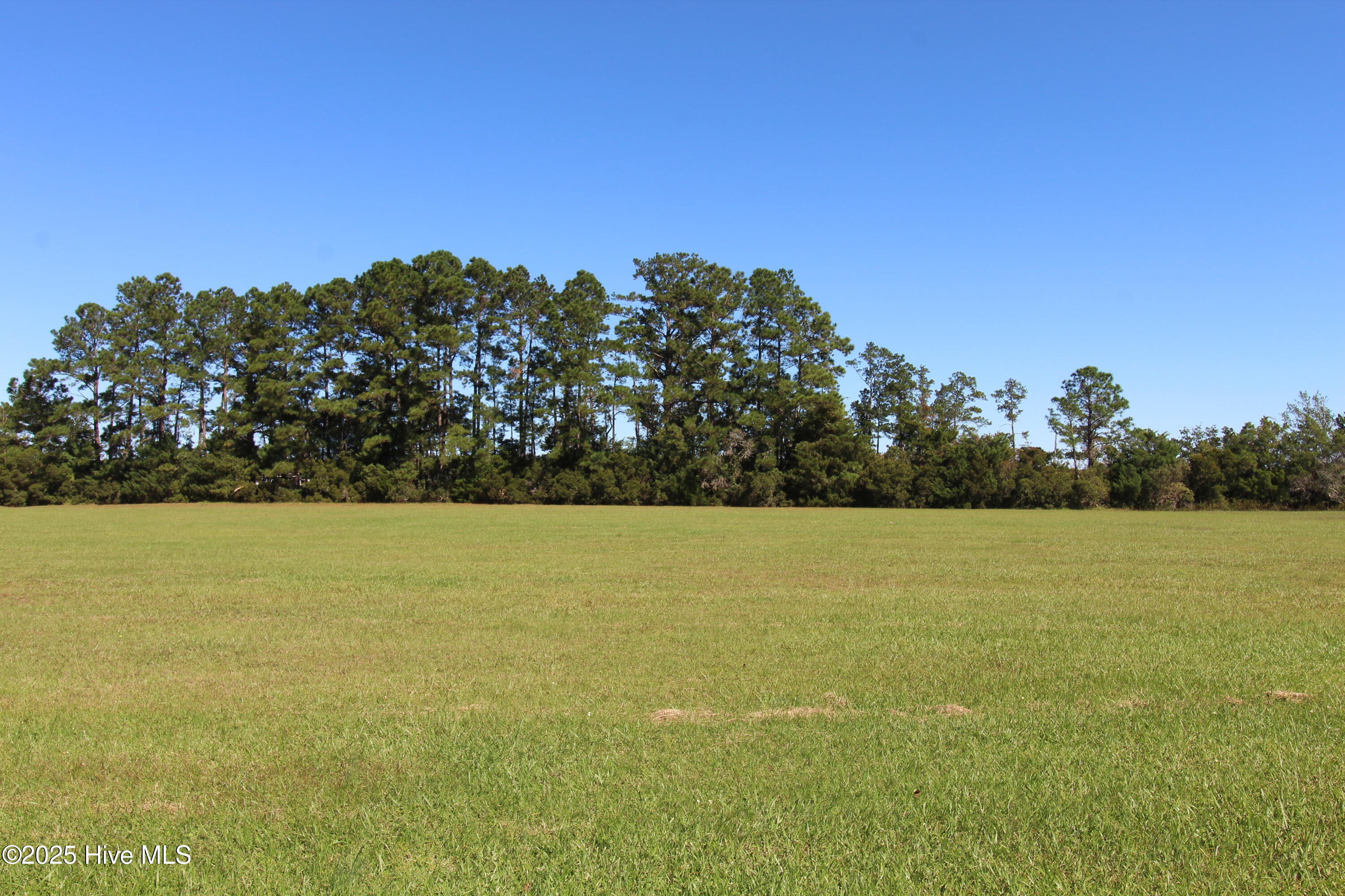 105 Waterway Road Havelock, NC 28532 - Photo 3 of 16 View across the lot