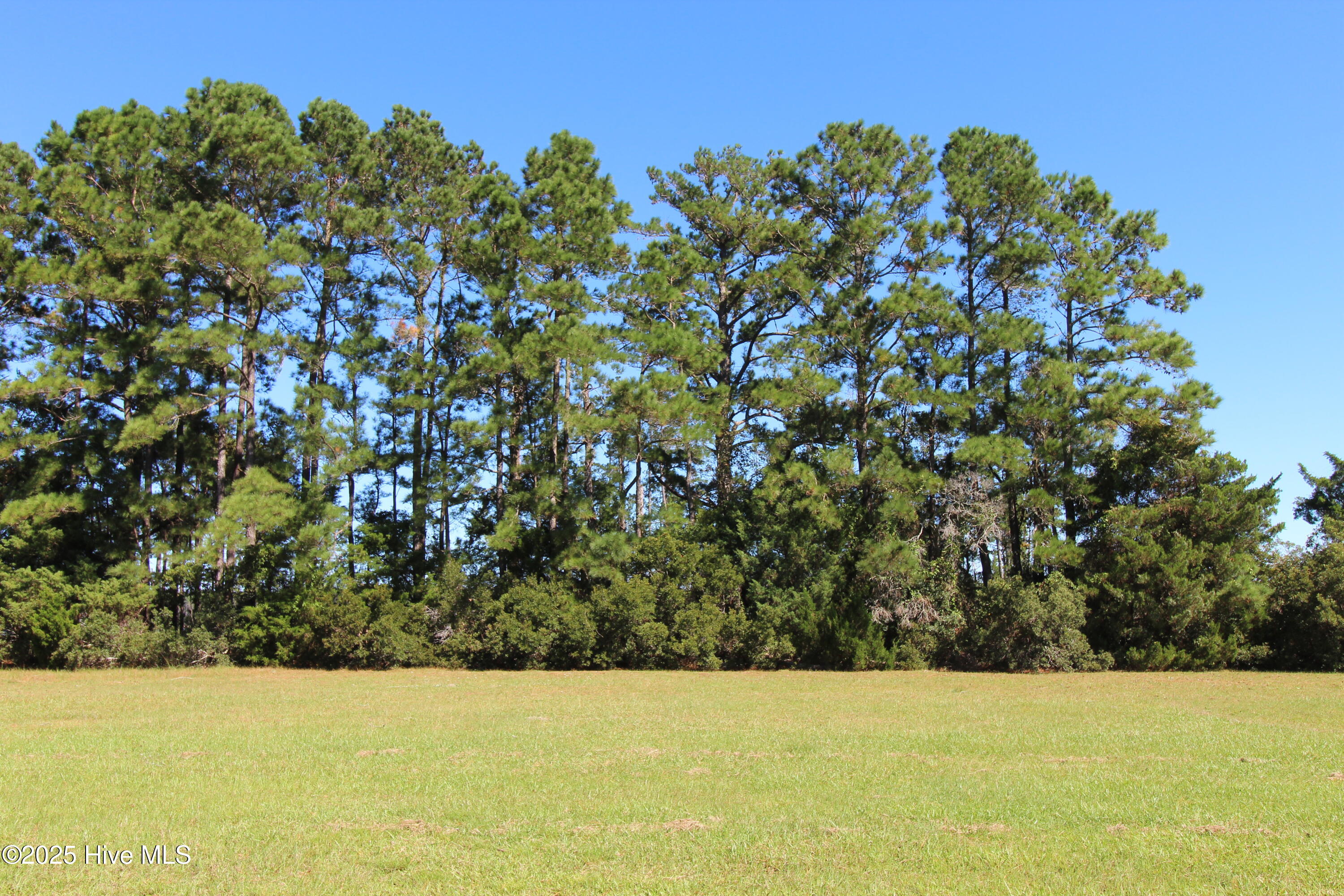 105 Waterway Road Havelock, NC 28532 - Photo 4 of 16 Back area of lot