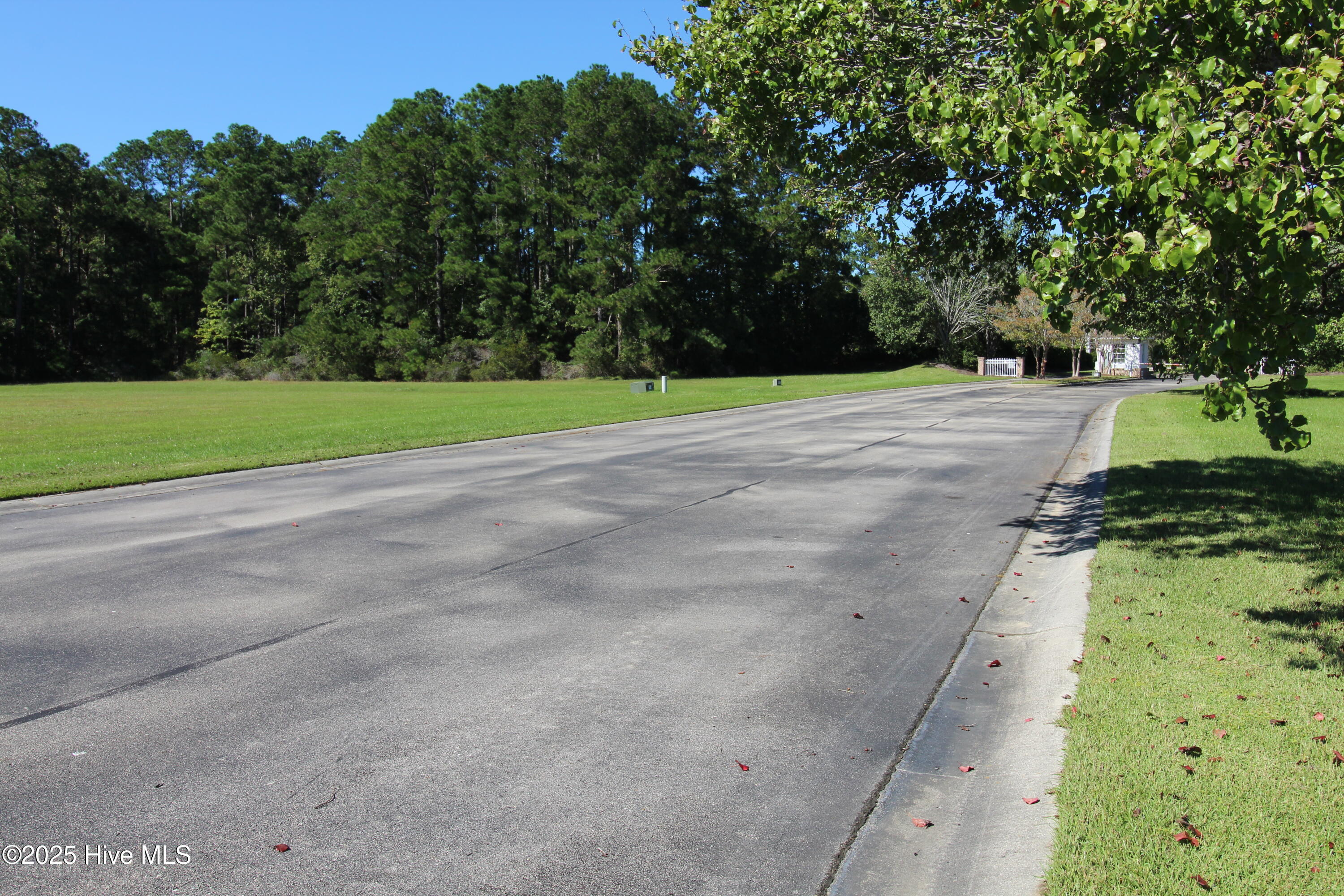 105 Waterway Road Havelock, NC 28532 - Photo 6 of 16 View of road from front of lot