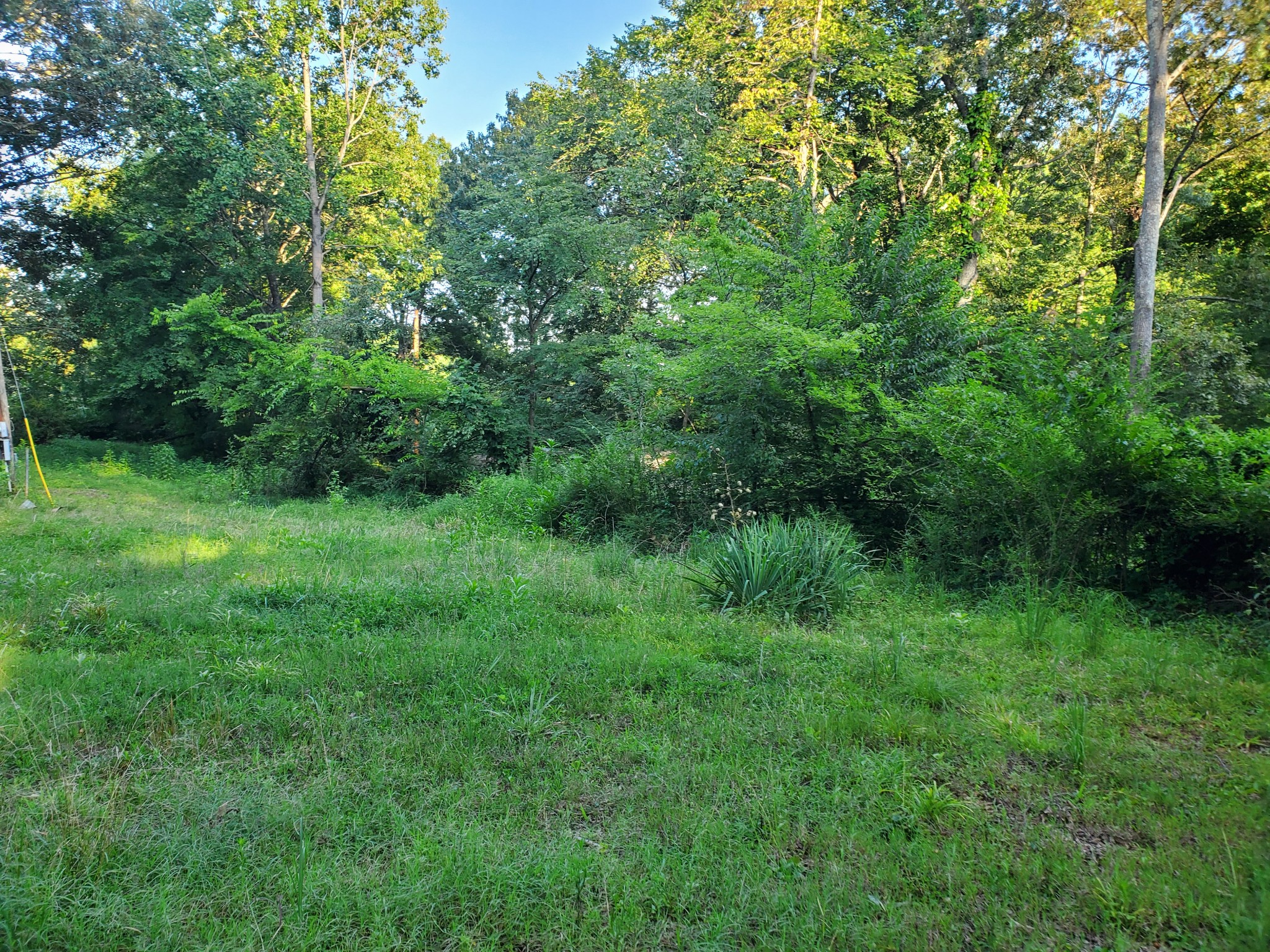 1812 Evans Road Clarksville, TN 37042 - Photo 3 of 5 Gallery Image 3