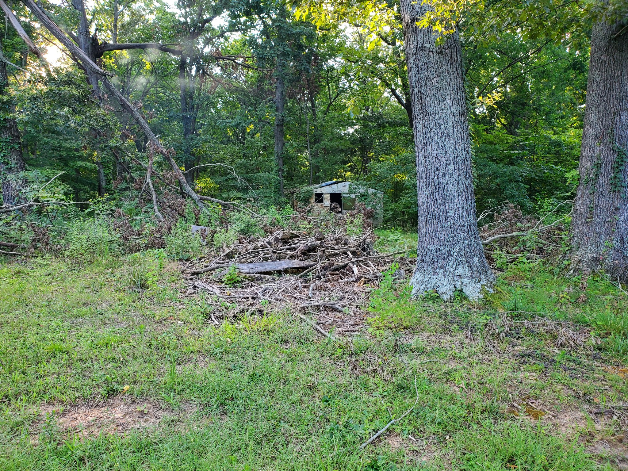 1812 Evans Road Clarksville, TN 37042 - Photo 4 of 5 Gallery Image 4